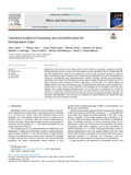 Linert-2022-Elsevier - Micro and Nano Engineering-vor.pdf.jpg
