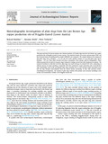 Haubner-2023-Journal of Archaeological Science Reports-vor.pdf.jpg