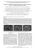 Farella-2023-Geometric processing of very high-resolution satellite image...-vor.pdf.jpg