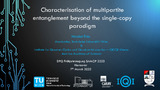 Friis-2023-Characterisation of multipartite entanglement beyond the single...-na.pdf.jpg