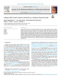 Handelshauser-2023-Journal of the Mechanical Behavior of Biomedical Mater...-vor.pdf.jpg