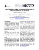 Glaser-2023-Looking beyond energy efficiency - Environmental aspects and ...-vor.pdf.jpg