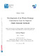 Wagner Andreas - 2020 - Development of an elasto-damage constitutive law for...pdf.jpg