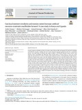 Amann-2021-Journal of Cleaner Production-vor.pdf.jpg